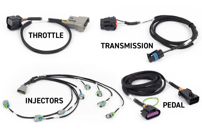 Haltech NEXUS Rebel LS Gen IV 6-Pin DBW Throttle/EV6 Injectors/Manual Transmission - Image 4