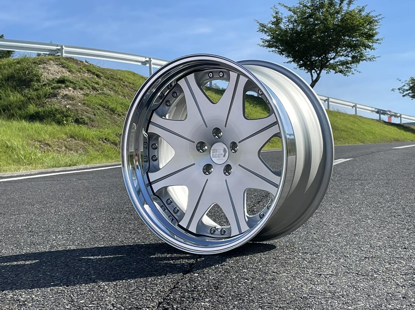 Leon Hardiritt Waffe 19x9 - Image 6