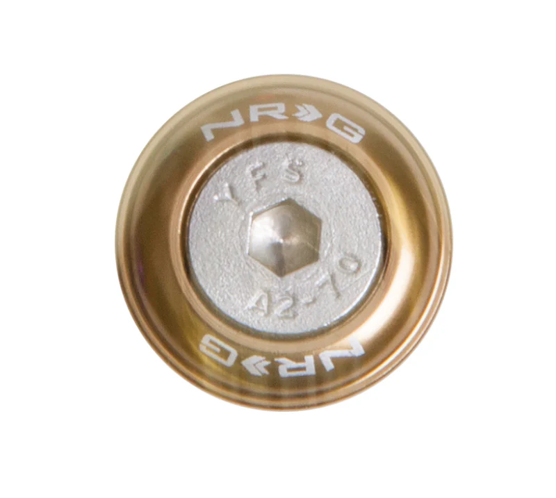 NRG Fender Washer Kit w/Rivets For Metal (Titanium) - Set of 10 - Image 2