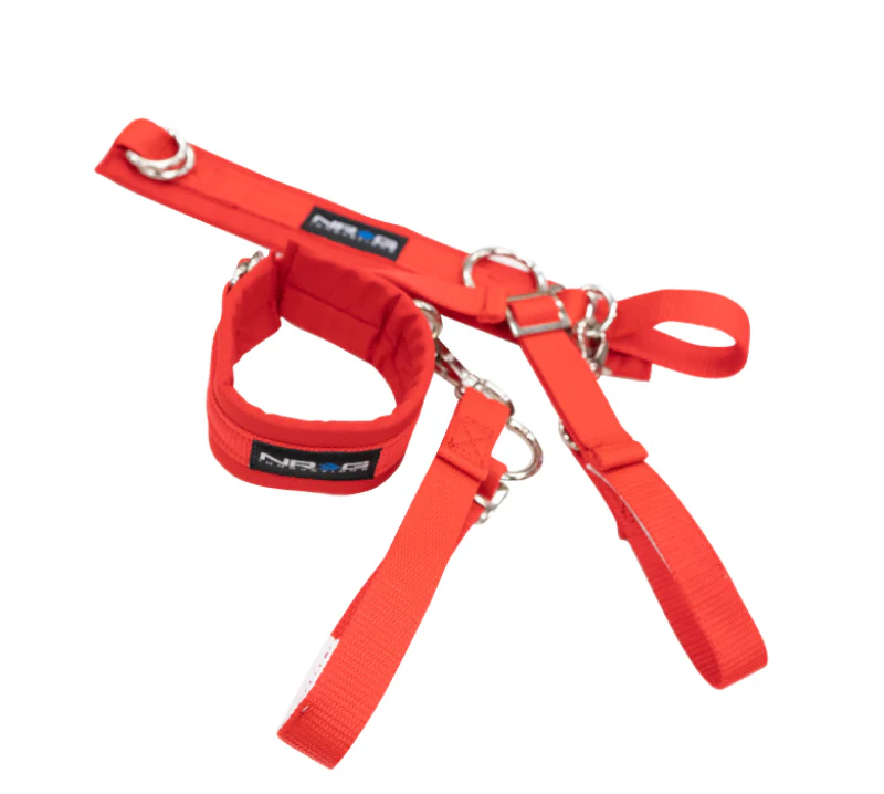 NRG SFI 3.3 Arm Restraints One Pair - Red - Image 2